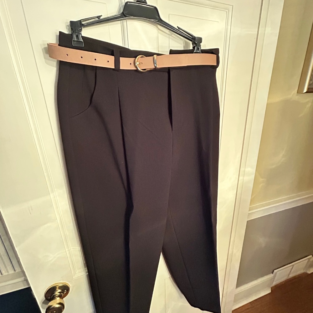 Zara Belted Pleated Pants NWOT